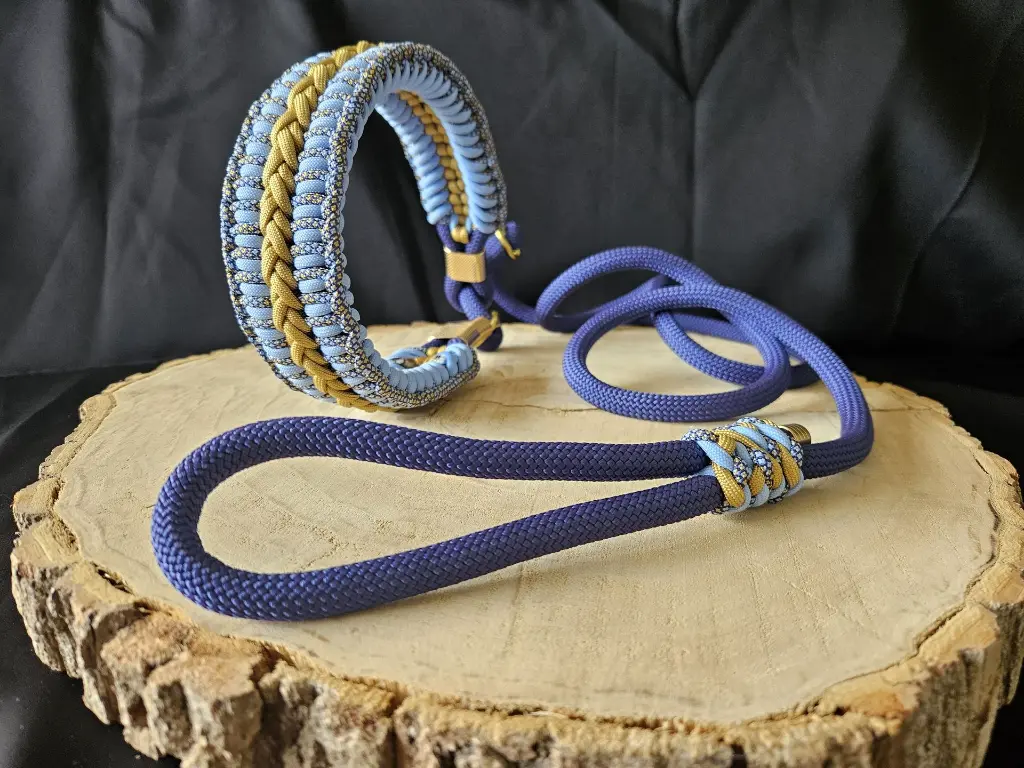 Ensemble collier & laisse en paracorde - Édition Bleu Saphir & Moutarde.webp